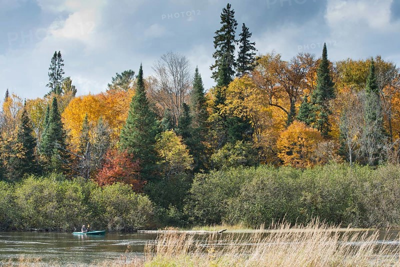 Herbstfarben im Algonquin Park