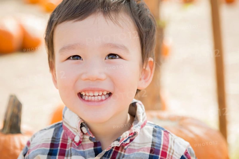 Cute mixed-race young boy having fun at the pumpkin patch