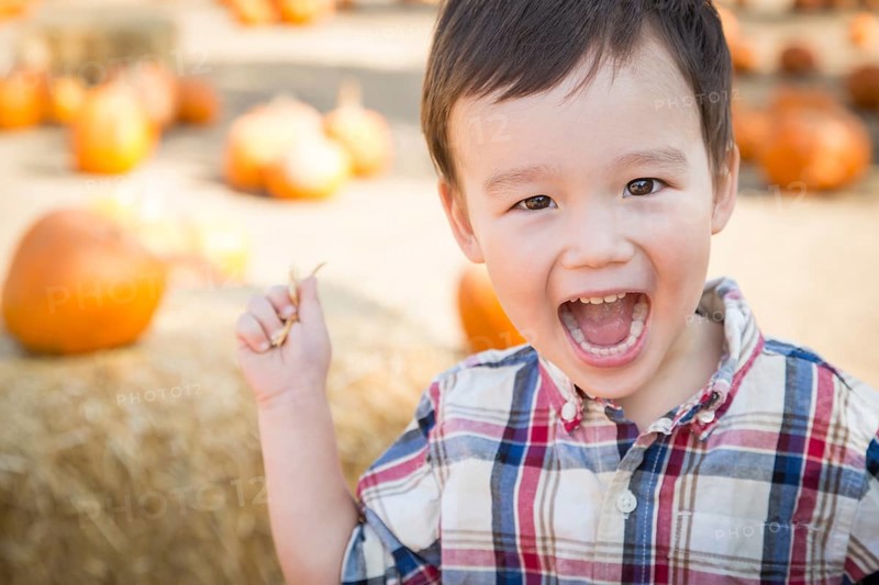 Cute mixed-race young boy having fun at the pumpkin patch