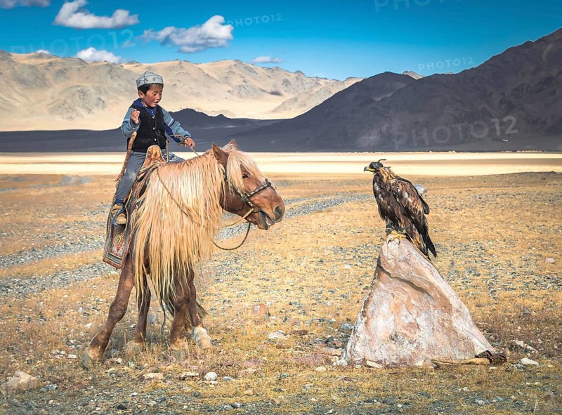 A boy trains his young eagle for hunting. After 3 months the eagle is ready for fox hunting