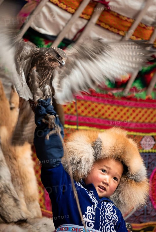 Falcon Training Boy 8 Western Mongolia