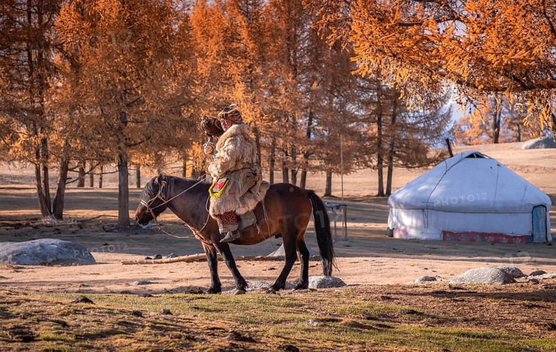 Go hunting with his eagle. Western Mongolia