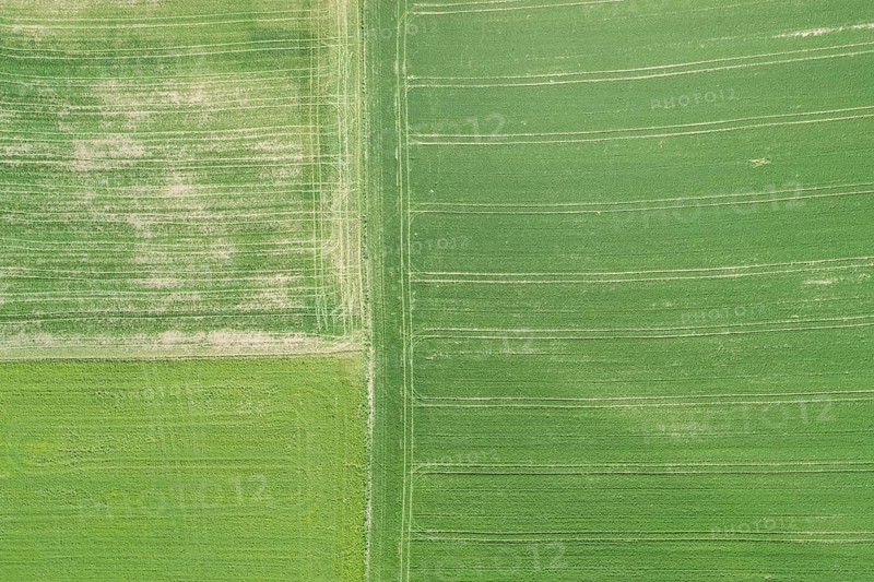 Luftuafnahme gruener Agrarlandschaft im Fruehling
