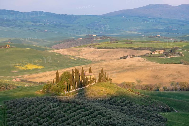 Podere Belvedere Estate