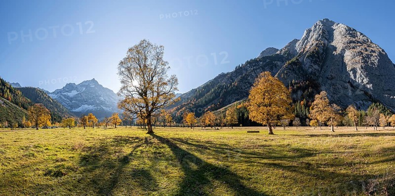 Panorama
