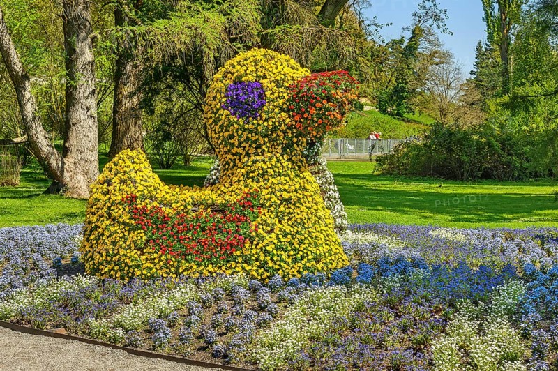 Flower sculpture duck