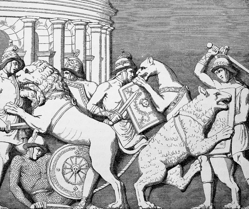 Animal fights of the gladiators in the circus in the theatre of Marcellus