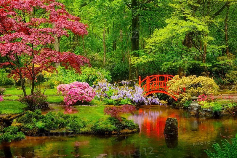 Small bridge in Japanese garden