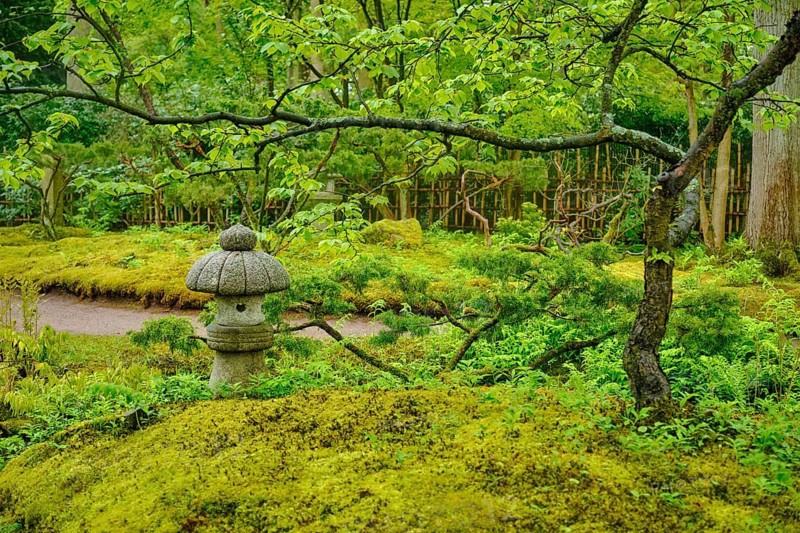 Stone lantern in Japanese garden