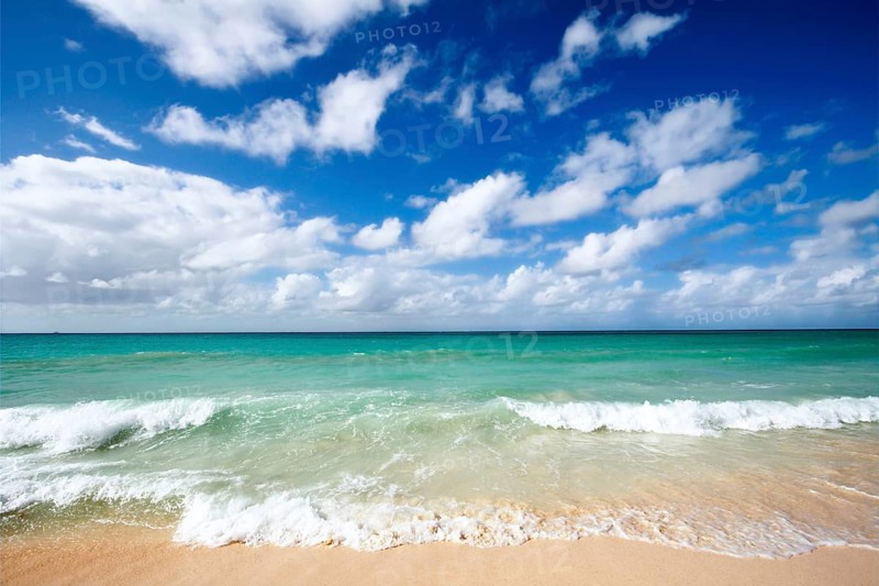 Beautiful beach and waves of Caribbean Sea