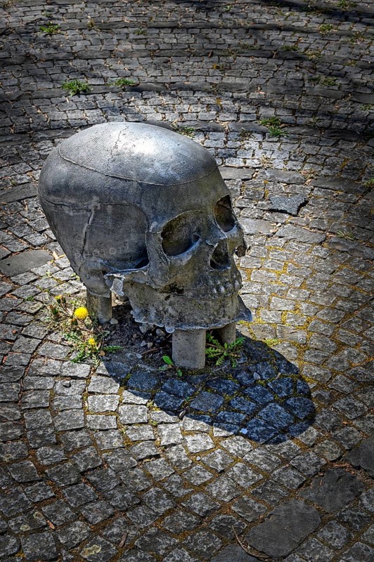 Skull