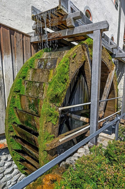 The mossy water wheel of the donkey mill from 1436
