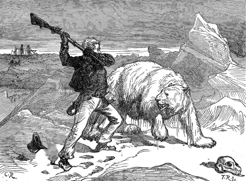 Man fighting a polar bear