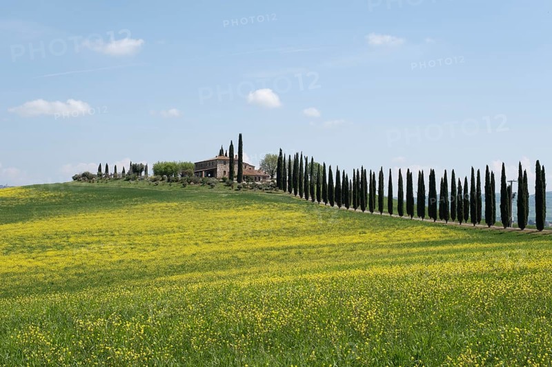 Poggio Covili estate