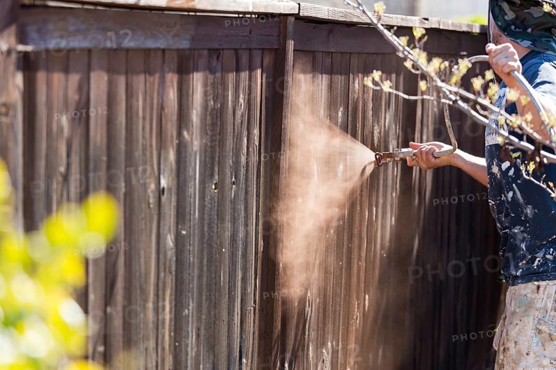 Professional painter spraying house yard fence with wood stain