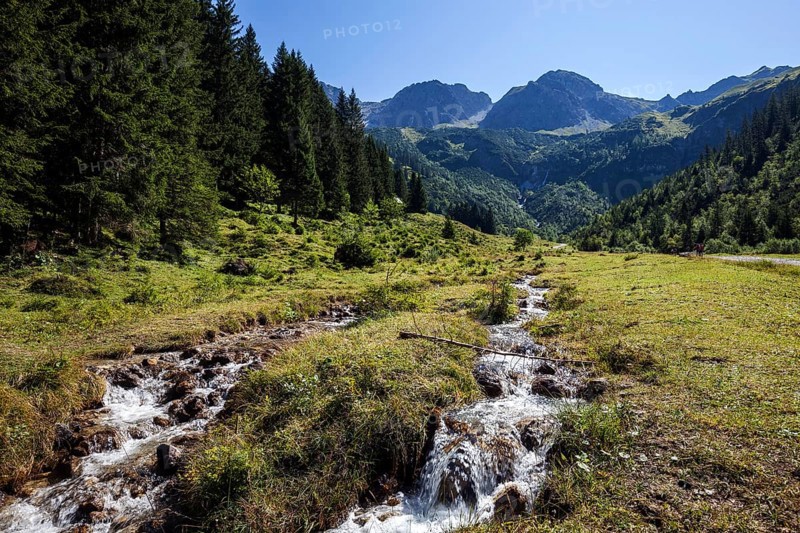 Wildental with Wildenbach