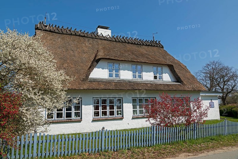 Thatched roof house