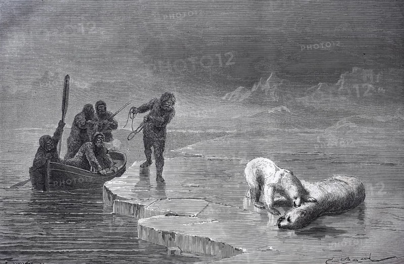 Second German North Polar Expedition