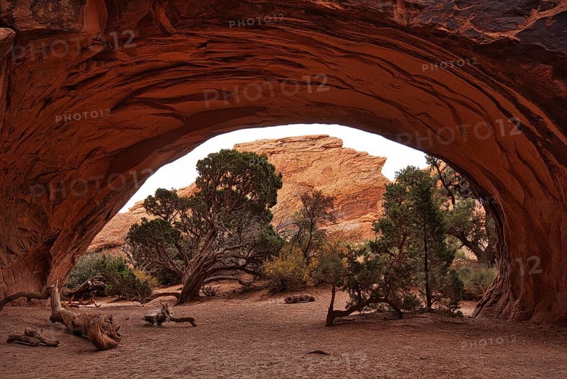 View through