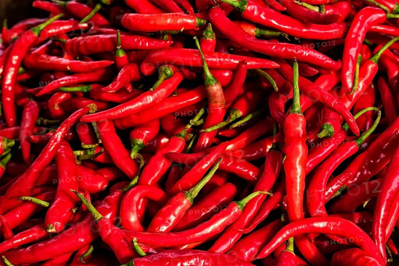 Red spicy chili peppers pile at asian market close up texture background Sardar Market