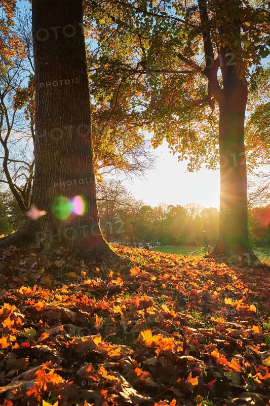 Golden autumn fall October in famous Munich relax place