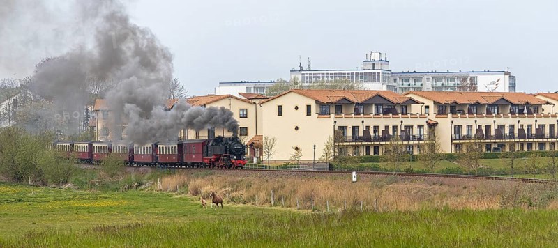 Molli steam train