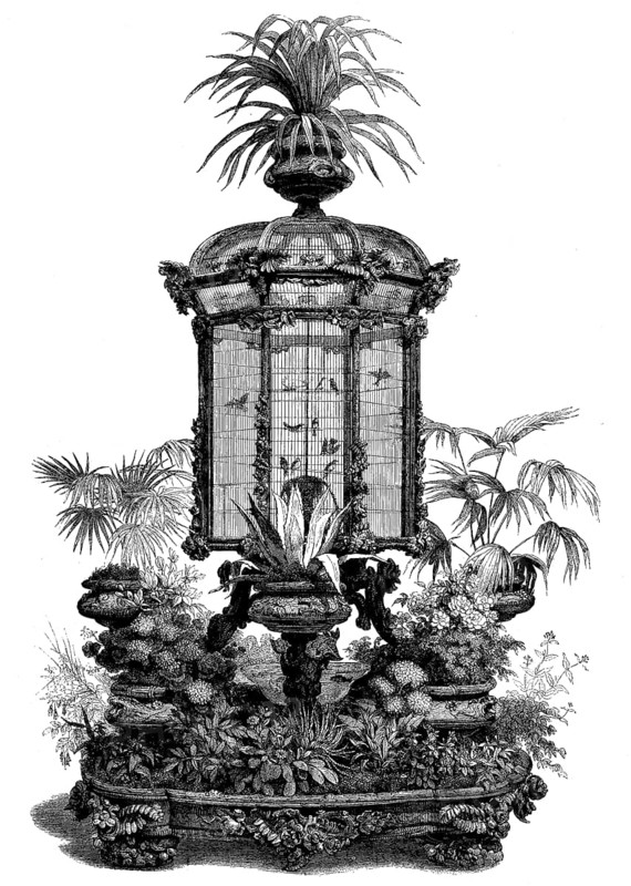 Aviary