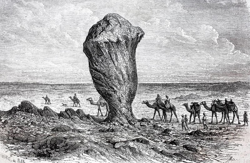 Camel caravan in the white desert
