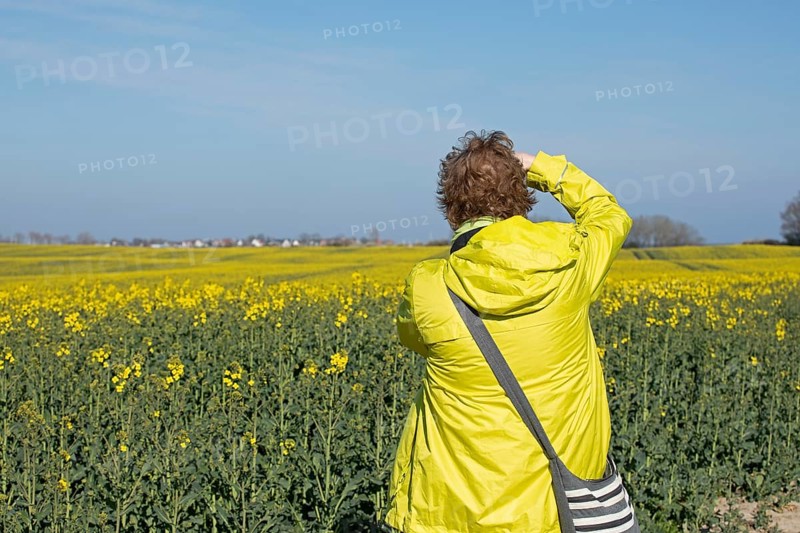 Woman photographing rape field in front of Maasholm
