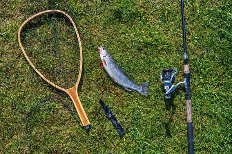 Fishing rod with caught trout and landing net lies on lawn