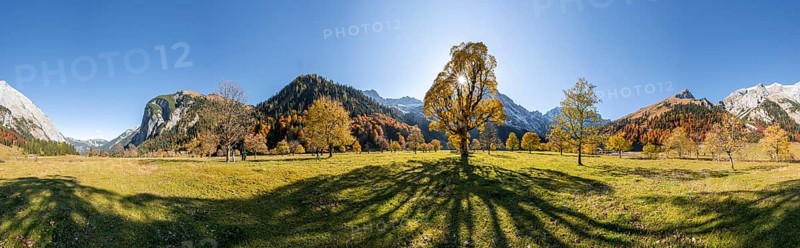 Panorama