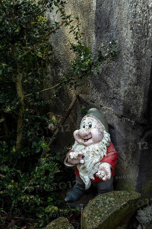 Garden gnome