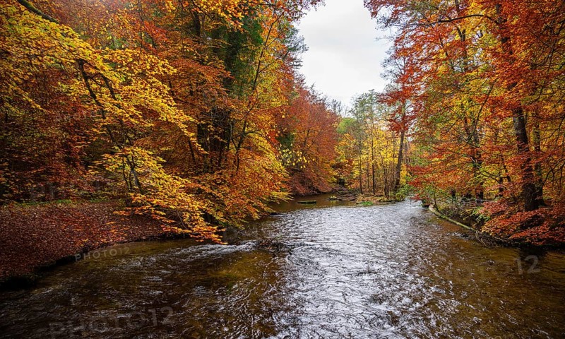 River Wuerm