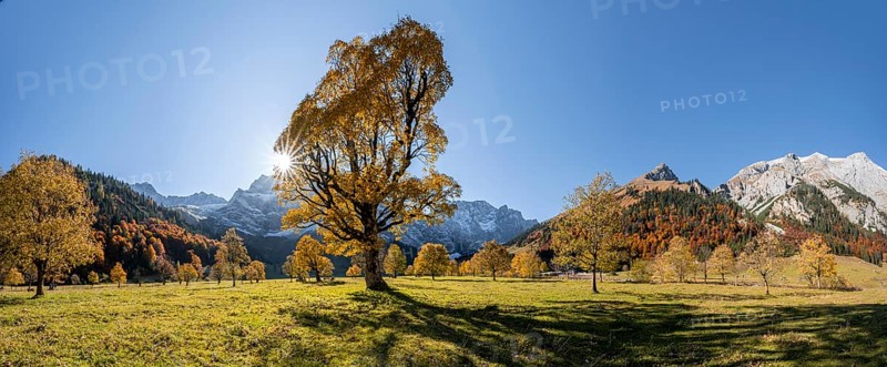 Panorama