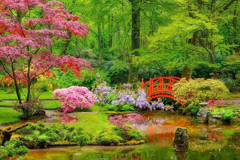 Small bridge in Japanese garden
