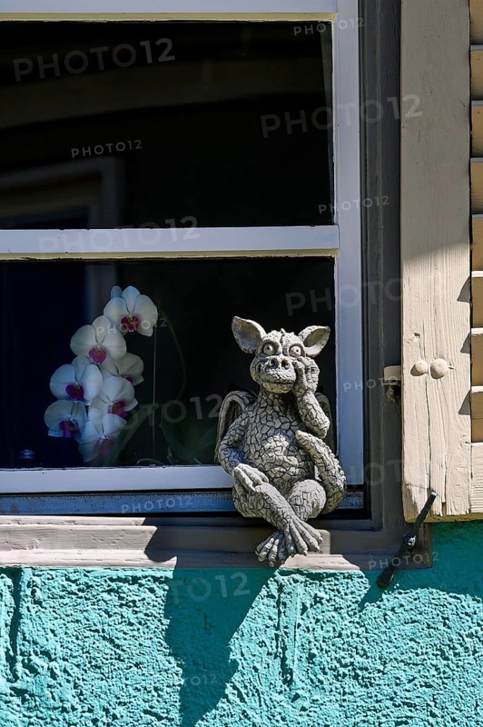 Little monster on window sill