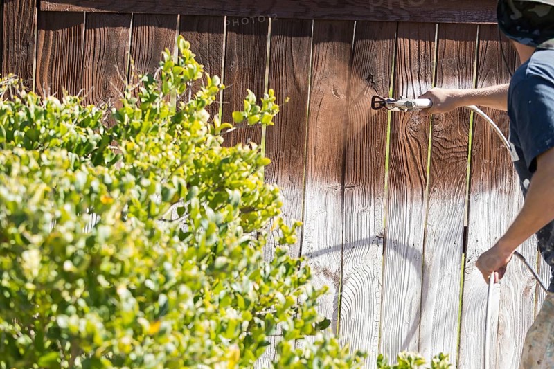 Professional painter spraying house yard fence with wood stain