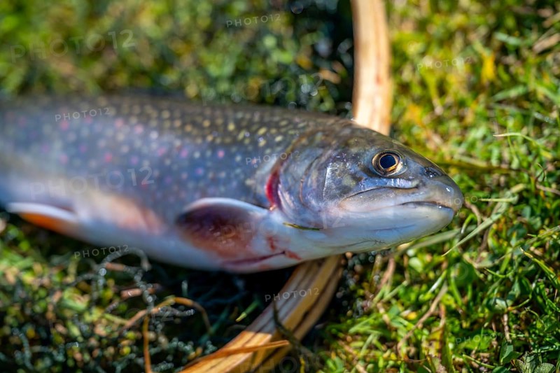 Fishing
