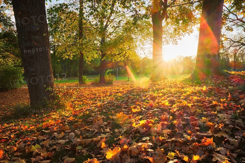 Golden autumn fall October in famous Munich relax place