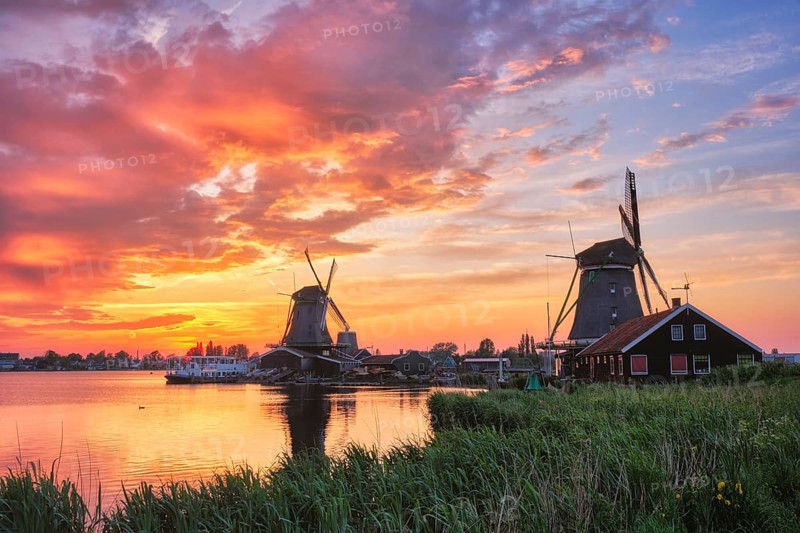 Netherlands rural scene
