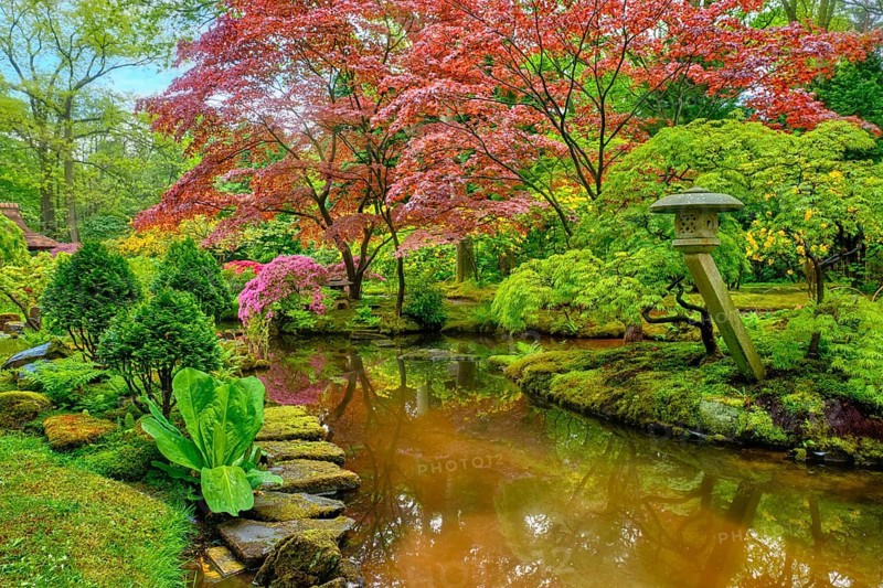 Little Japanese garden after rain