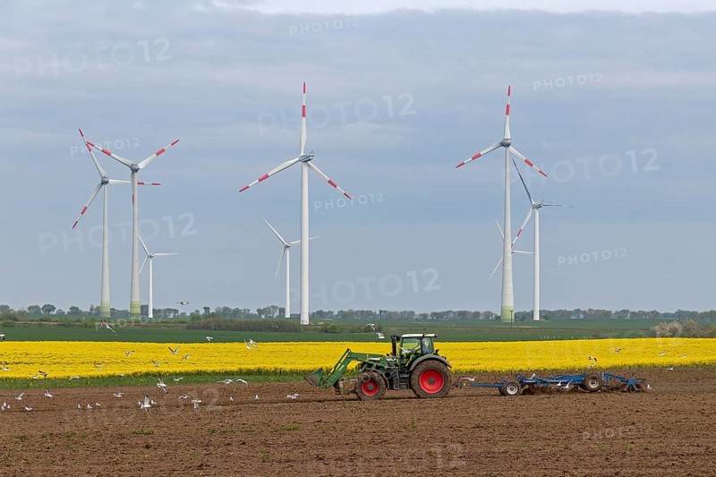 Tractor ploughing field