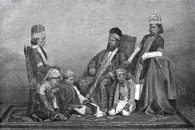 The Royal Family Mirzas of Delhi in 1880