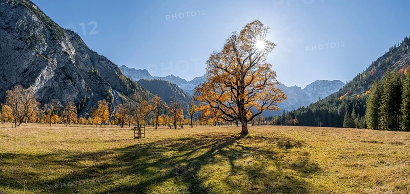 Panorama