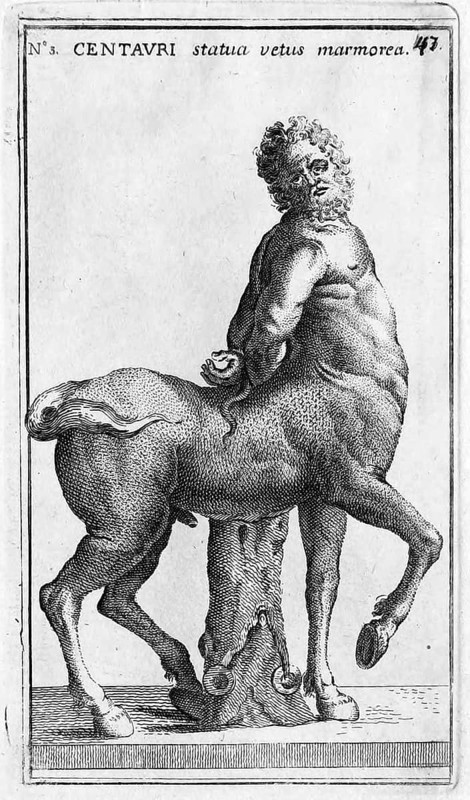 Ein Kentaur