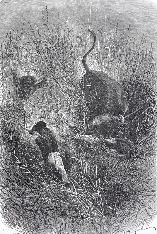 People of the Shilluk tribe