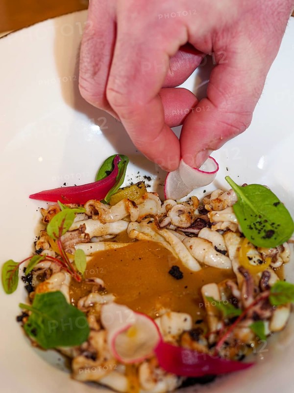 Chef hand close up plating pan cooked flambe atlantic squid with potato rich sauce cream reduction
