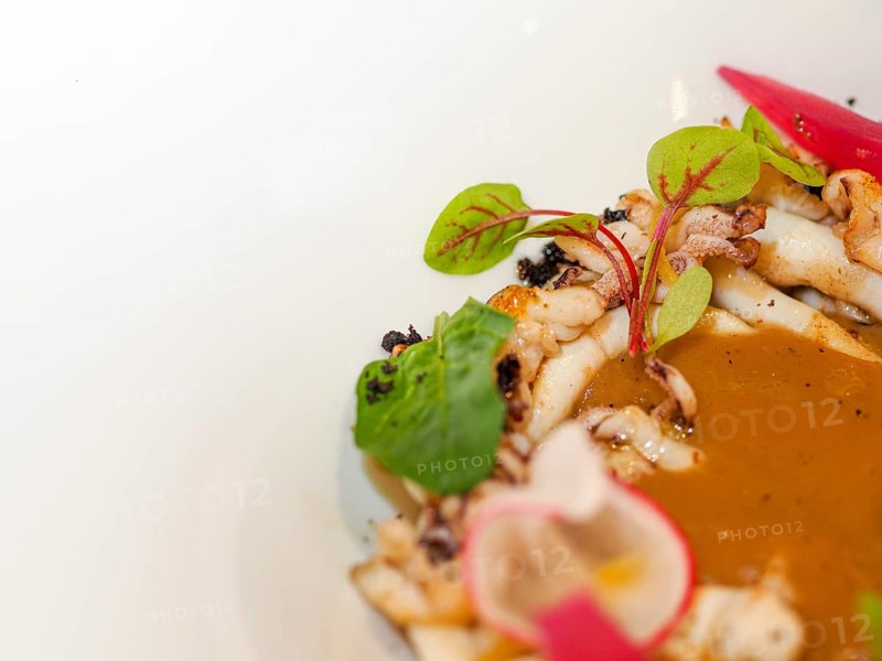 Macro close up of pan cooked grilled flambe atlantic squid plated with potato rich sauce cream reduction