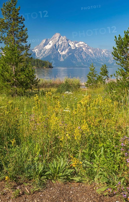Grand teton national park mountain range in wyoming