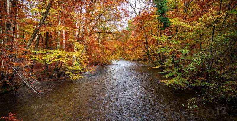River Wuerm